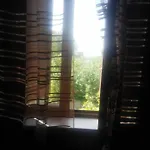 Spina